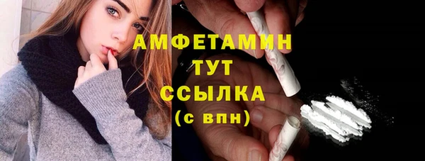 гидра Переславль-Залесский