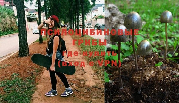 гидра Переславль-Залесский
