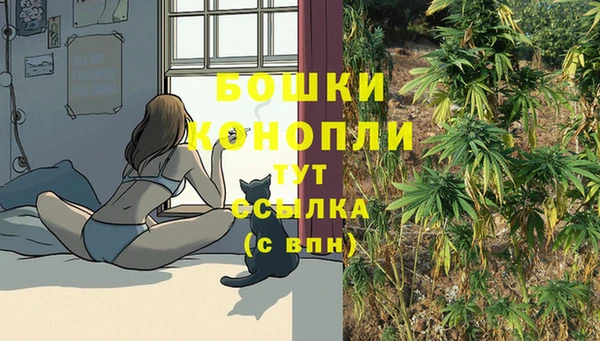 MESCALINE Ухта