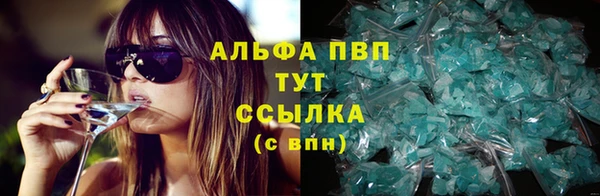 spice Пересвет