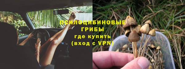 СК Устюжна