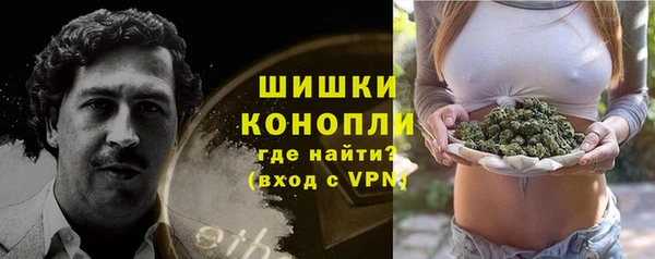гидра Переславль-Залесский