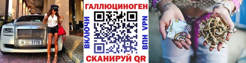 Галлюциногенные грибы Psilocybine cubensis  Балтийск 