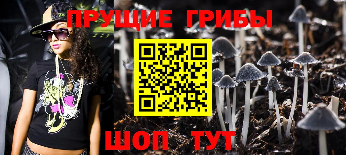 Галлюциногенные грибы прущие грибы Балтийск