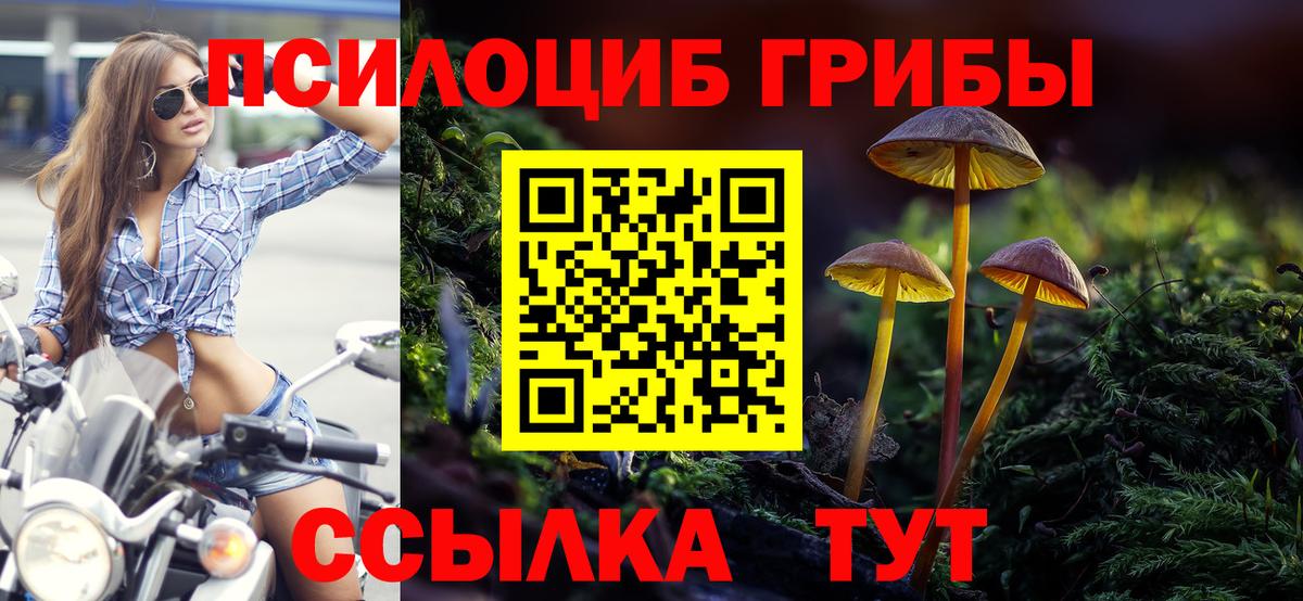 где купить наркотик  Вход с VPN  Балтийск  Псилоцибиновые грибы Psilocybine cubensis 